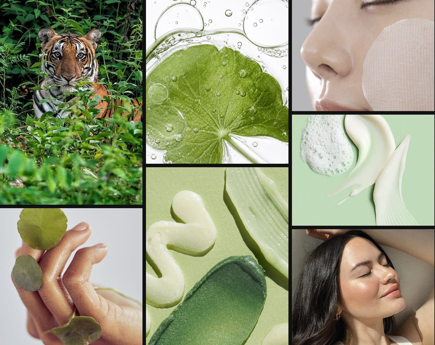 Heal Me CICA moodboard — tiger grass, centella, calm skin